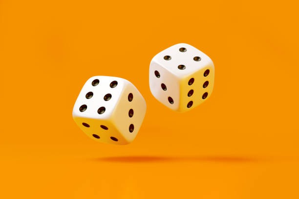 বার্ড ক্যাচার